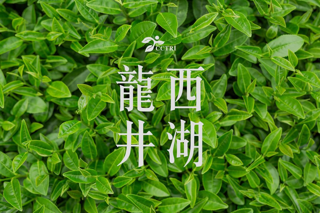 茶叶研究院