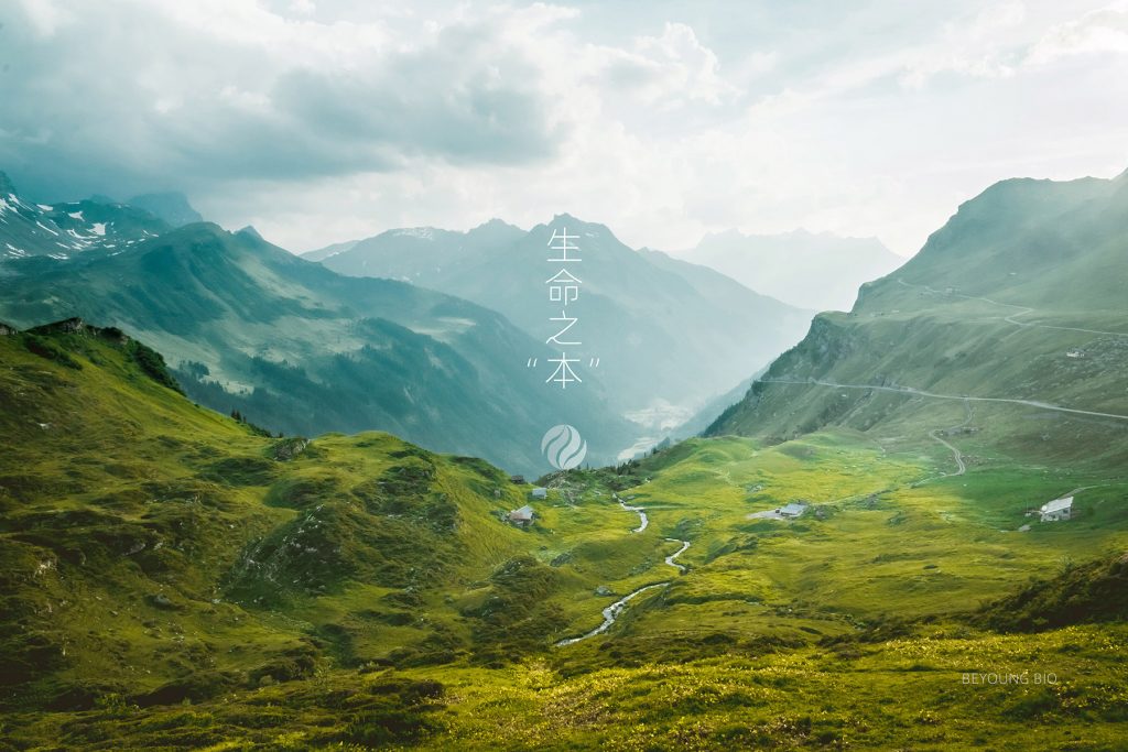 本元生物