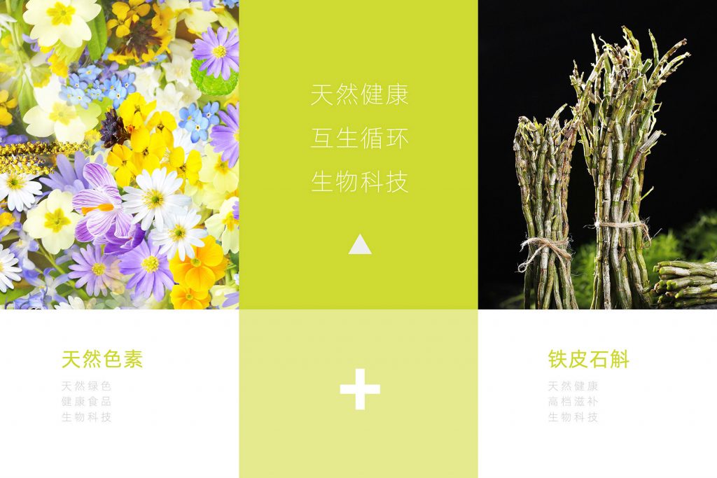 本元生物