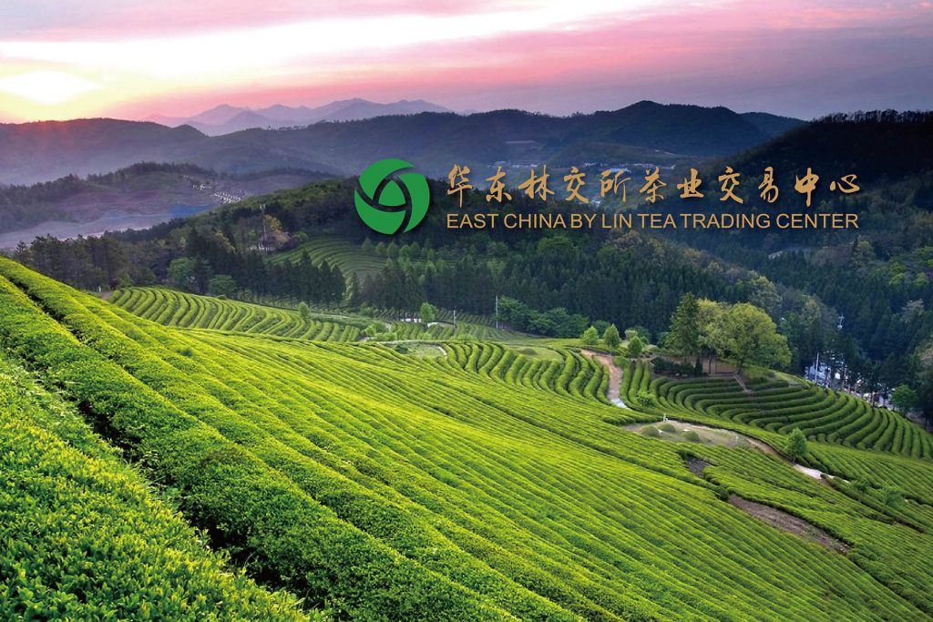 林交所茶交中心