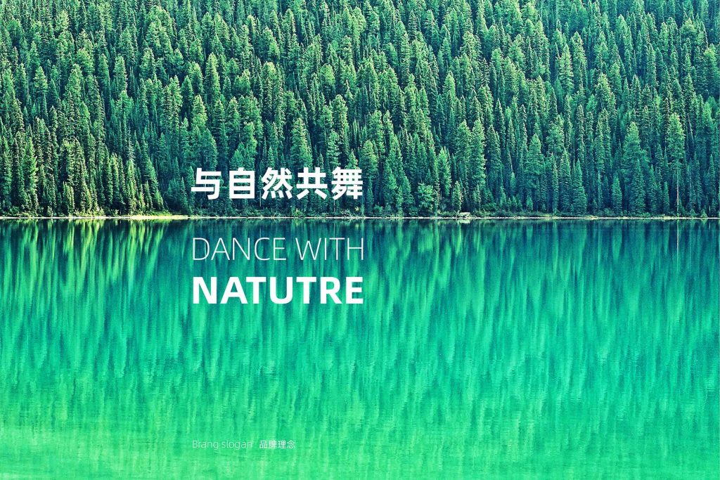 金光集团 | APP亚洲浆纸业