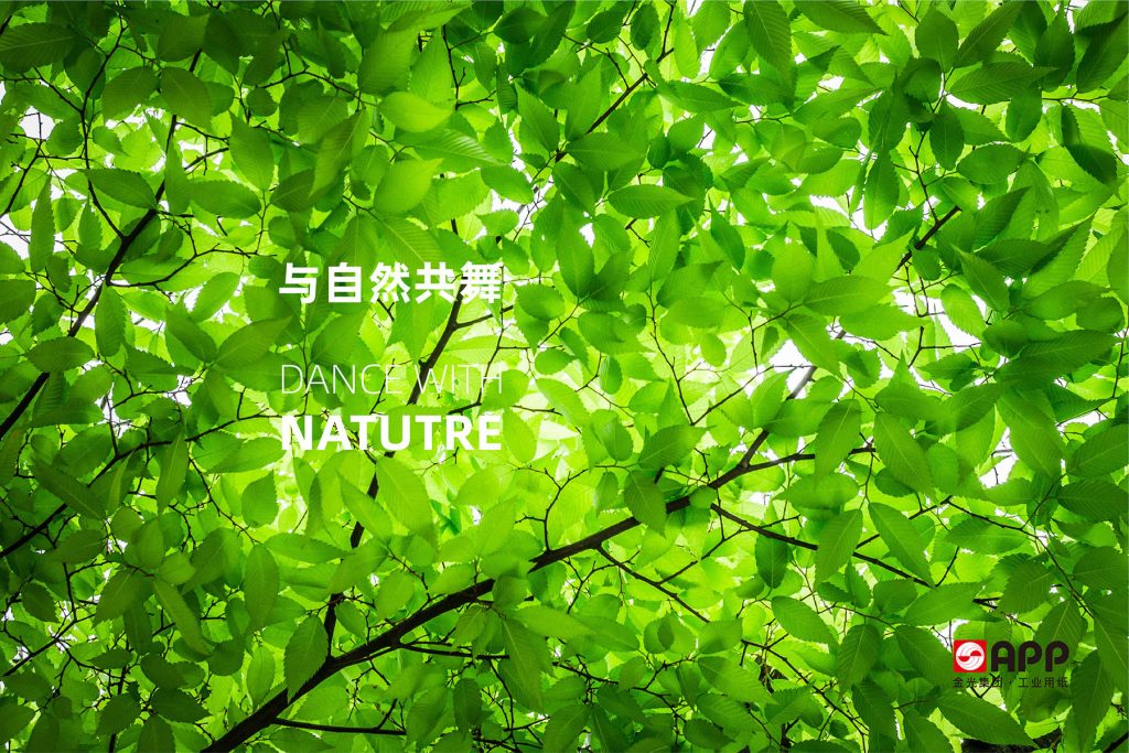 金光集团 | APP亚洲浆纸业